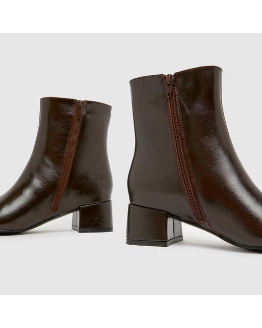 Schuh Black Bridgit Block Point Boots