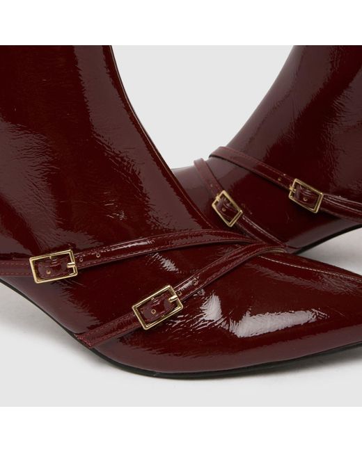 Schuh Brown Beckett Buckle Kitten Boots