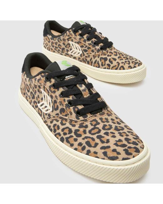 CARIUMA Brown Naioca Trainers