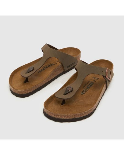 Birkenstock Brown Gizeh