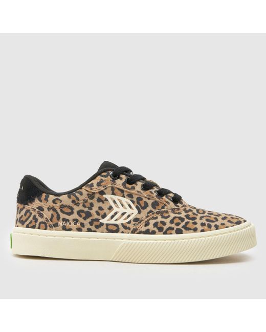 CARIUMA Brown Naioca Trainers