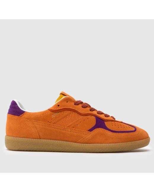 Alohas Brown Tb.490 Rife Trainers
