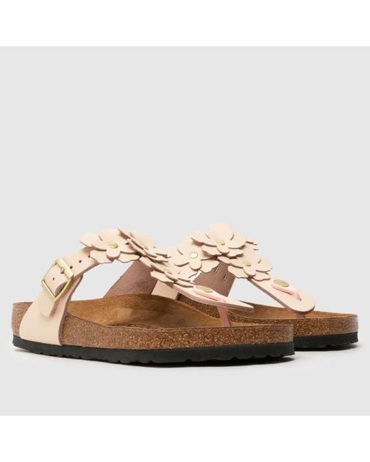 Birkenstock Brown Gizeh Flowers Sandals