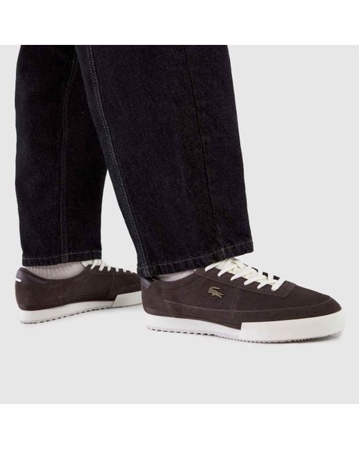 Lacoste Brown Aura Trainers for men