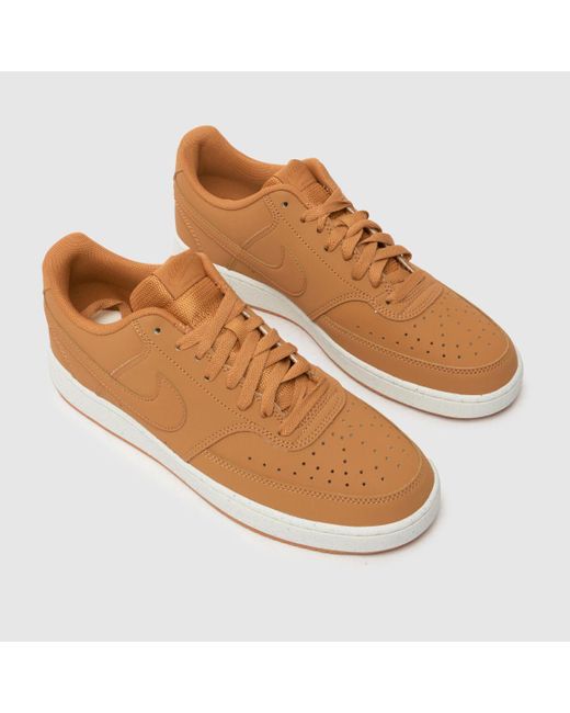 Nike Brown Court Vision Trainers for men