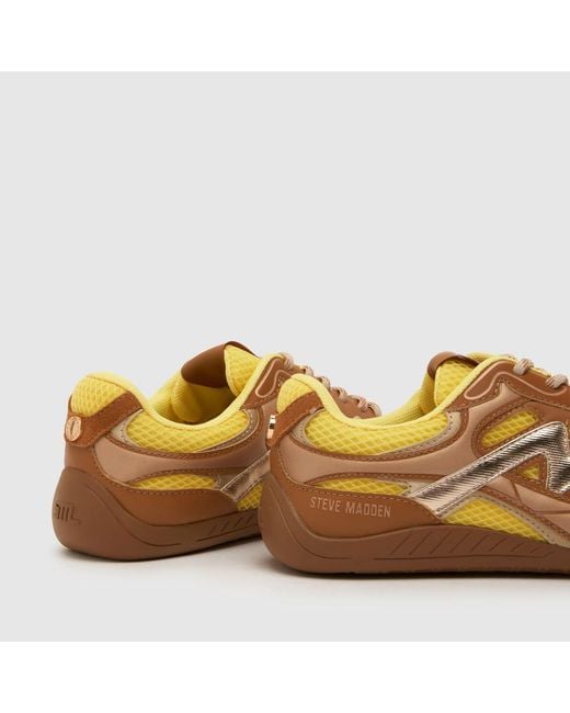 Steve Madden Brown Rally Time Trainers