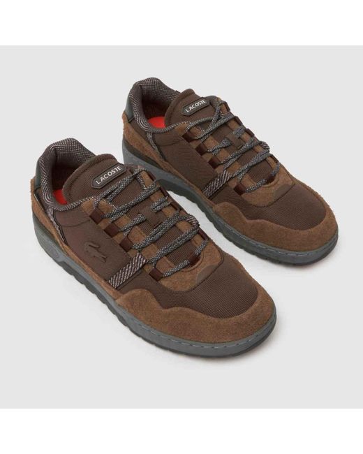 Lacoste Brown T-clip Winter Trainers In for men