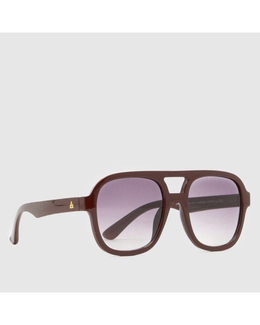 Aire Purple Whirlpool Sunglasses