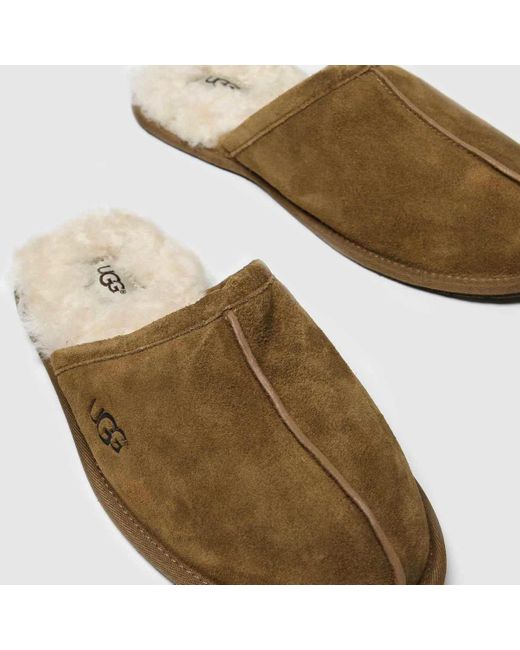 Ugg Brown Scuff Slippers In for men