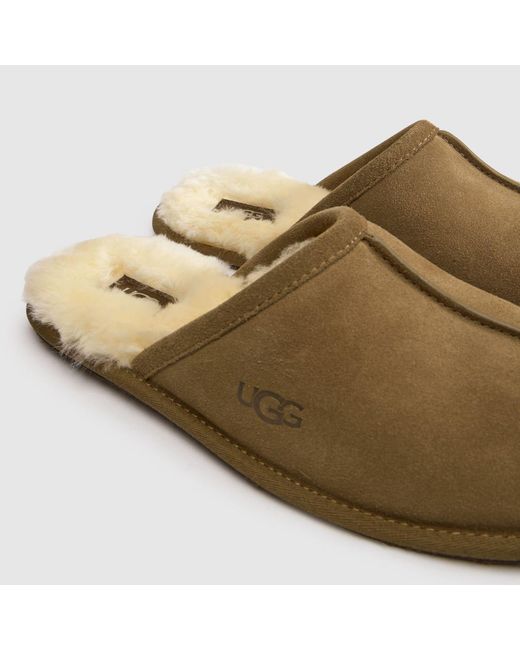 Ugg Brown Scuff Slippers for men