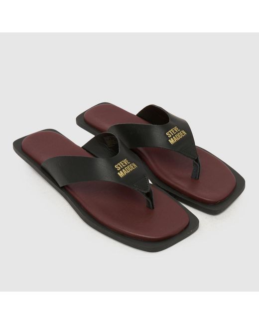 Steve Madden Brown Splash-B Flip Sandals