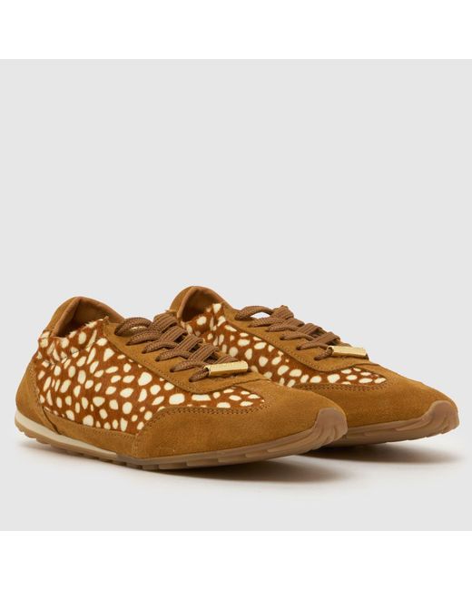 Steve Madden Brown Bobby Trainers