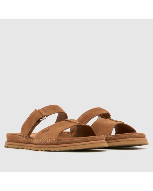 Ugg Brown Goldengaze Slide Sandals