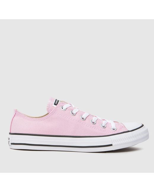 Converse Pink All Star Ox Trainers In