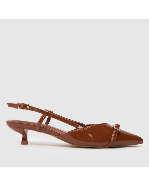 Schuh Brown Sybill Buckle Kitten Low Heels