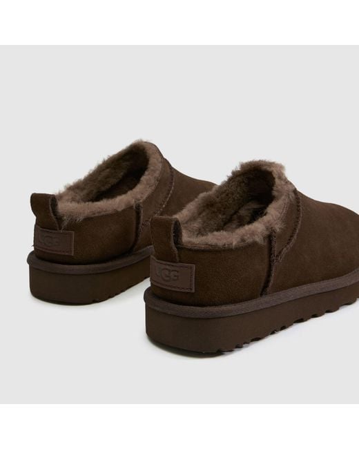 Ugg Brown Classic Micro Boots