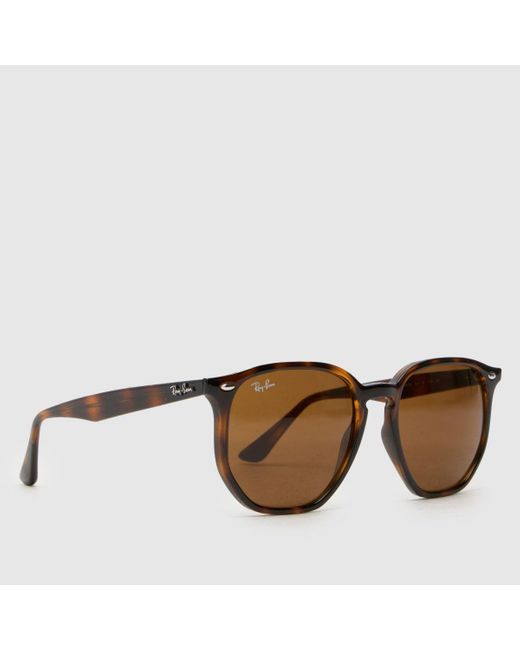 Ray-Ban Brown Hexagonal Sunglasses