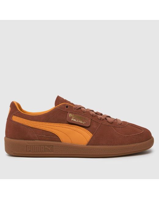 PUMA Brown Palermo Trainers In for men