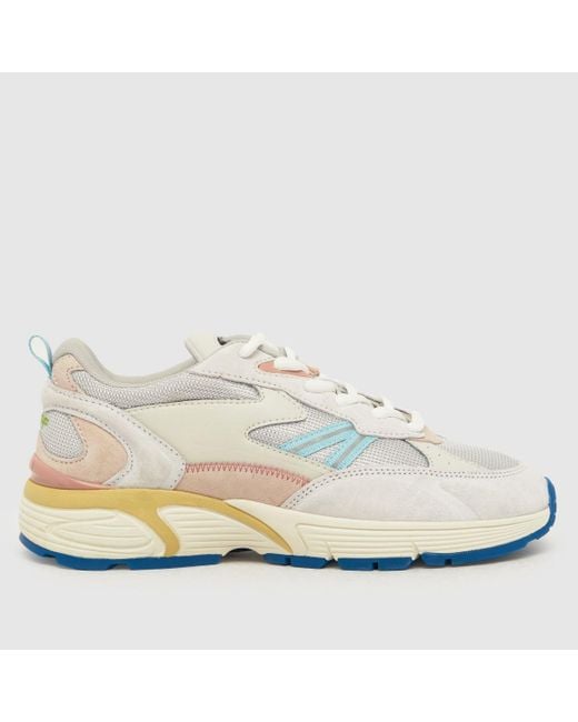 HOFF White State Illinois Trainers