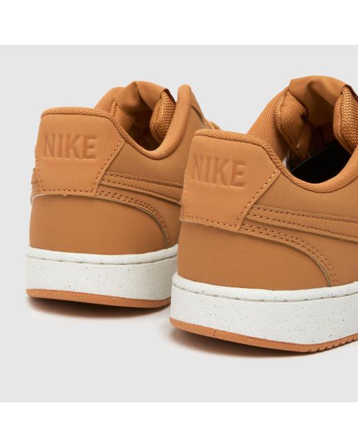 Nike Brown Court Vision Trainers for men