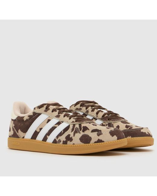 Adidas Brown Breaknet Sleek Trainers