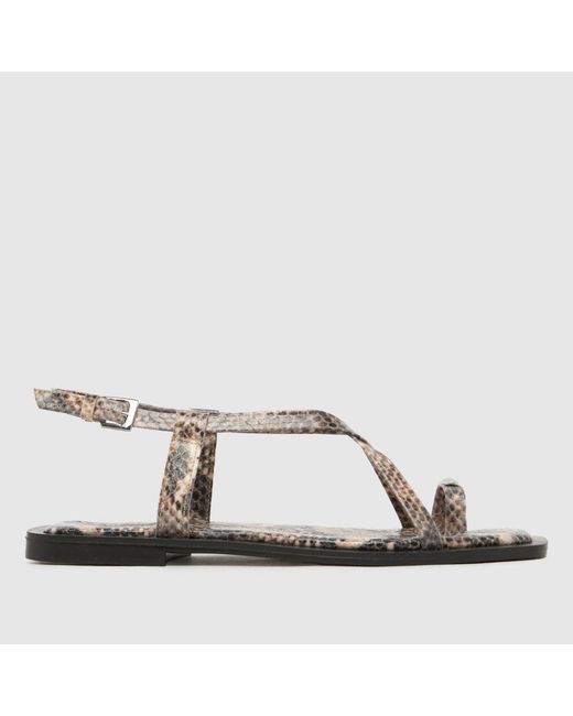 Schuh Brown Taran Metal Toeloop Sandals