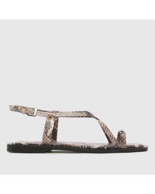 Schuh Brown Taran Metal Toeloop Sandals