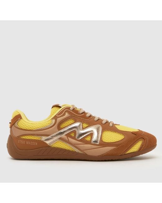 Steve Madden Brown Rally Time Trainers