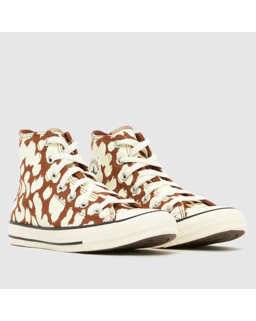 Converse Multicolor All Star Hi Trainers