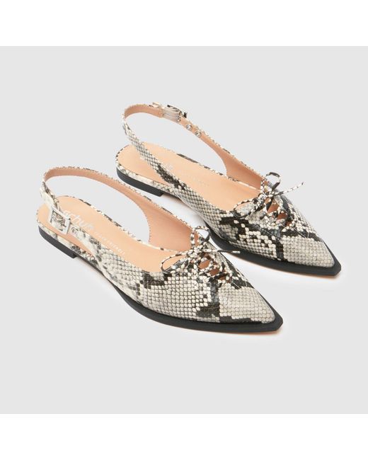 Schuh Multicolor Lorie Pointed Hardware Flats