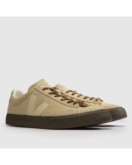 Veja Brown Campo Trainers