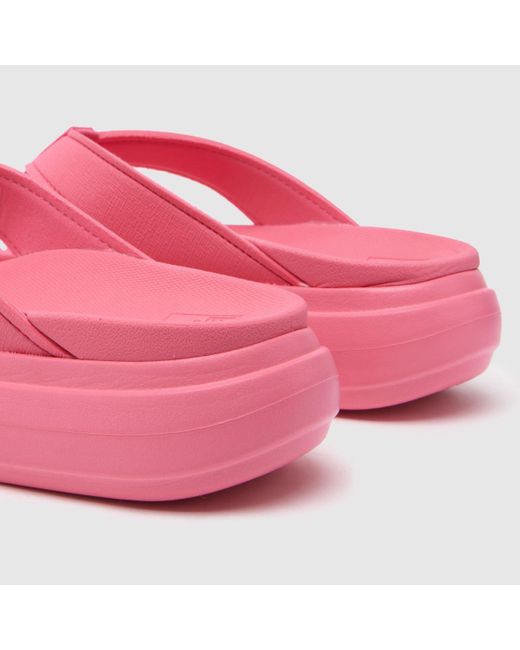 Reef Pink Cushion Bondi Sandals In