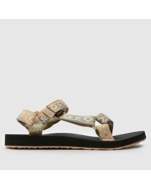 Teva Brown Original Universal Sandals
