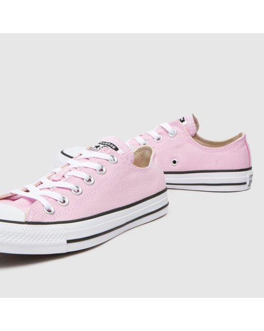 Converse Pink All Star Ox Trainers In