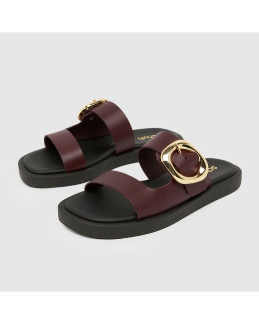 Schuh Brown Teela Buckle Footwear Sandals