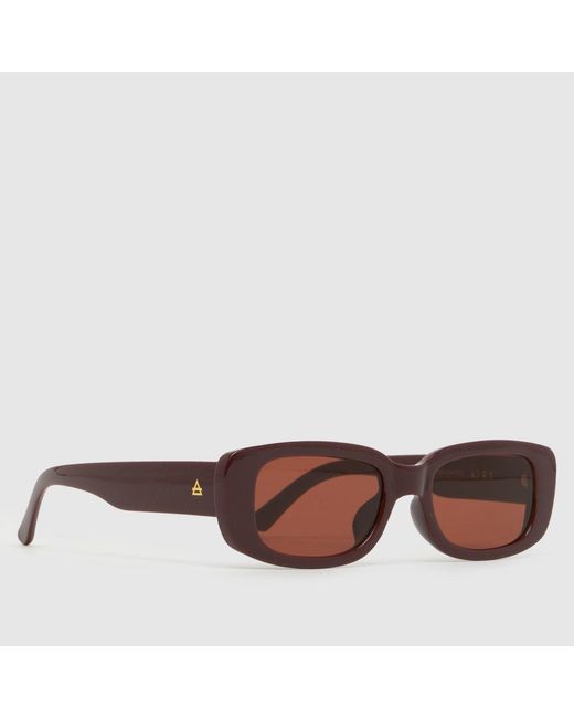Aire Brown Ceres Sunglasses