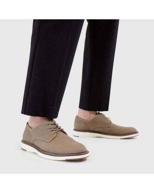 Schuh Brown Pippin Derby Shoes for men