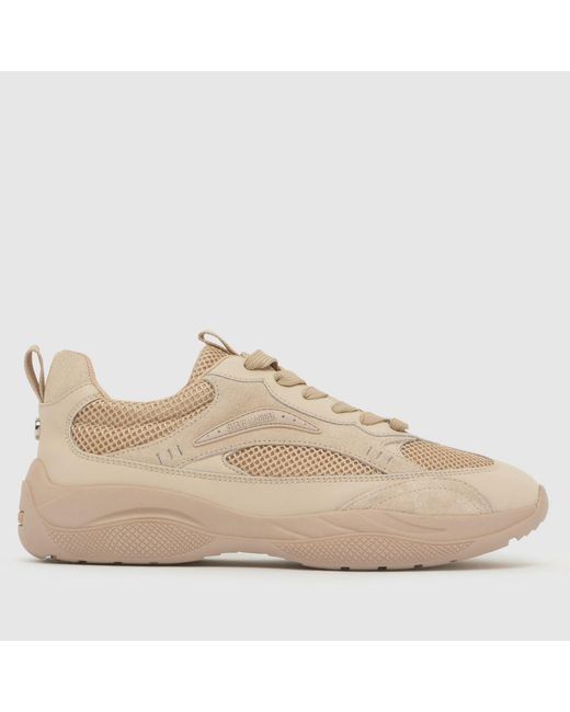 Steve Madden Natural Premio Trainers