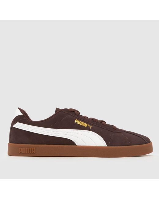 PUMA Brown Club Ii Era Trainers for men