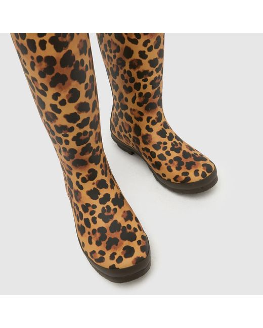 Hunter Brown Original Tall Leopard Boots