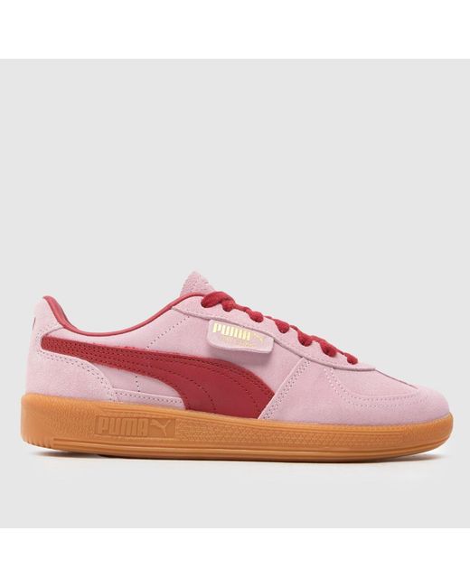 PUMA Pink Palermo Trainers