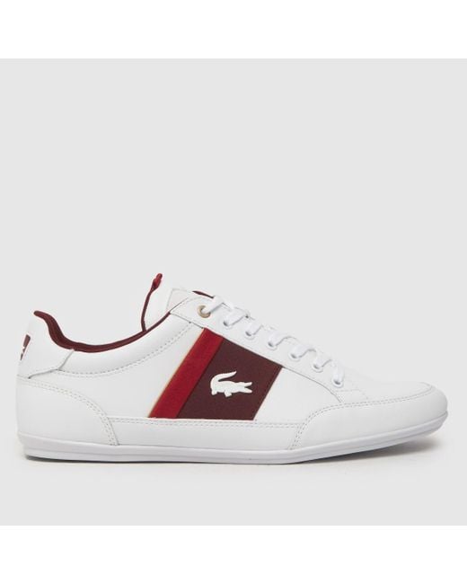 Lacoste Multicolor Chaymon Trainers In White & Burgundy for men
