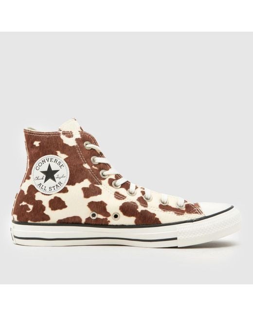 Converse Brown All Star Hi Winterluxe Cow Trainers