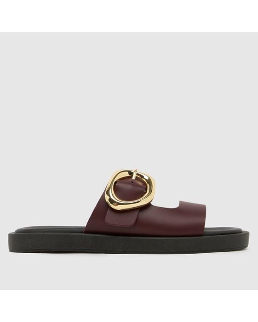 Schuh Brown Teela Buckle Footwear Sandals