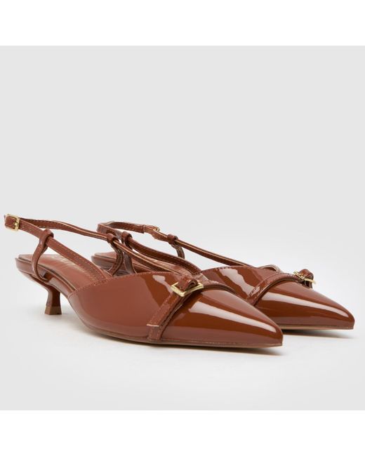 Schuh Brown Sybill Buckle Kitten Low Heels