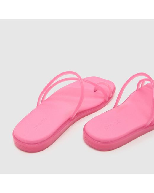 CROCSTM Pink Miami Jelly Toe Loop Sandals