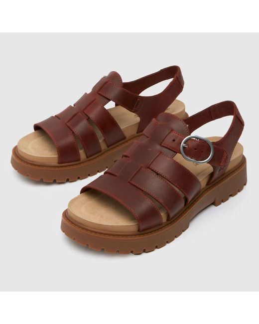 Timberland Brown Clairemont Way Fisherman Sandals In