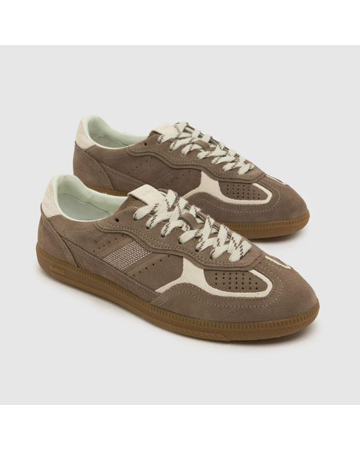 Alohas Brown Tb.490 Rife Trainers