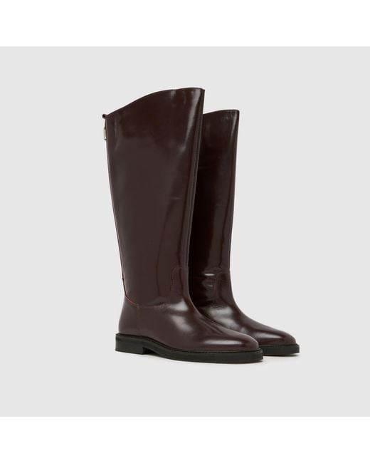Schuh Brown Daffodil Leather Riding Boots