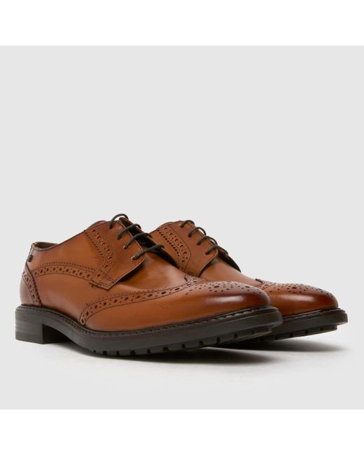 Base London Brown Anson Brogue Shoes In for men